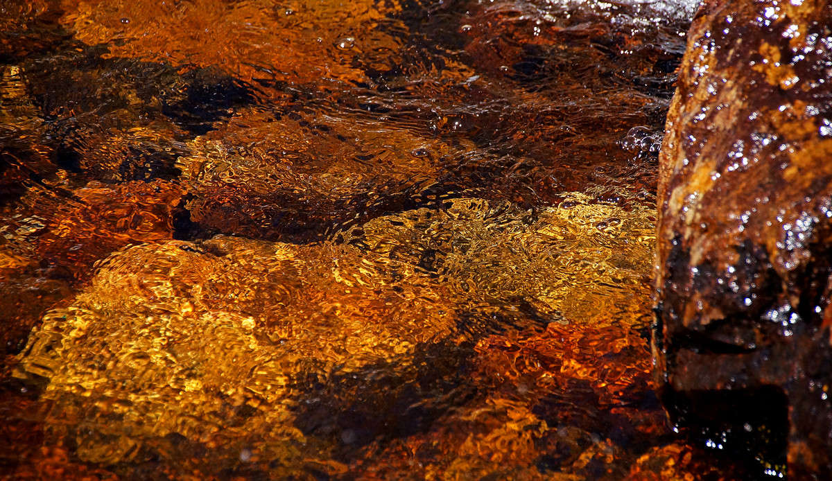 �������, �������, ���� ... ����� �������  �� PhotoGeek.ru #������ ��� �������