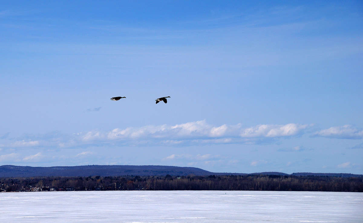 ��� ���������� ���� ����� �������  �� PhotoGeek.ru #�������� ���