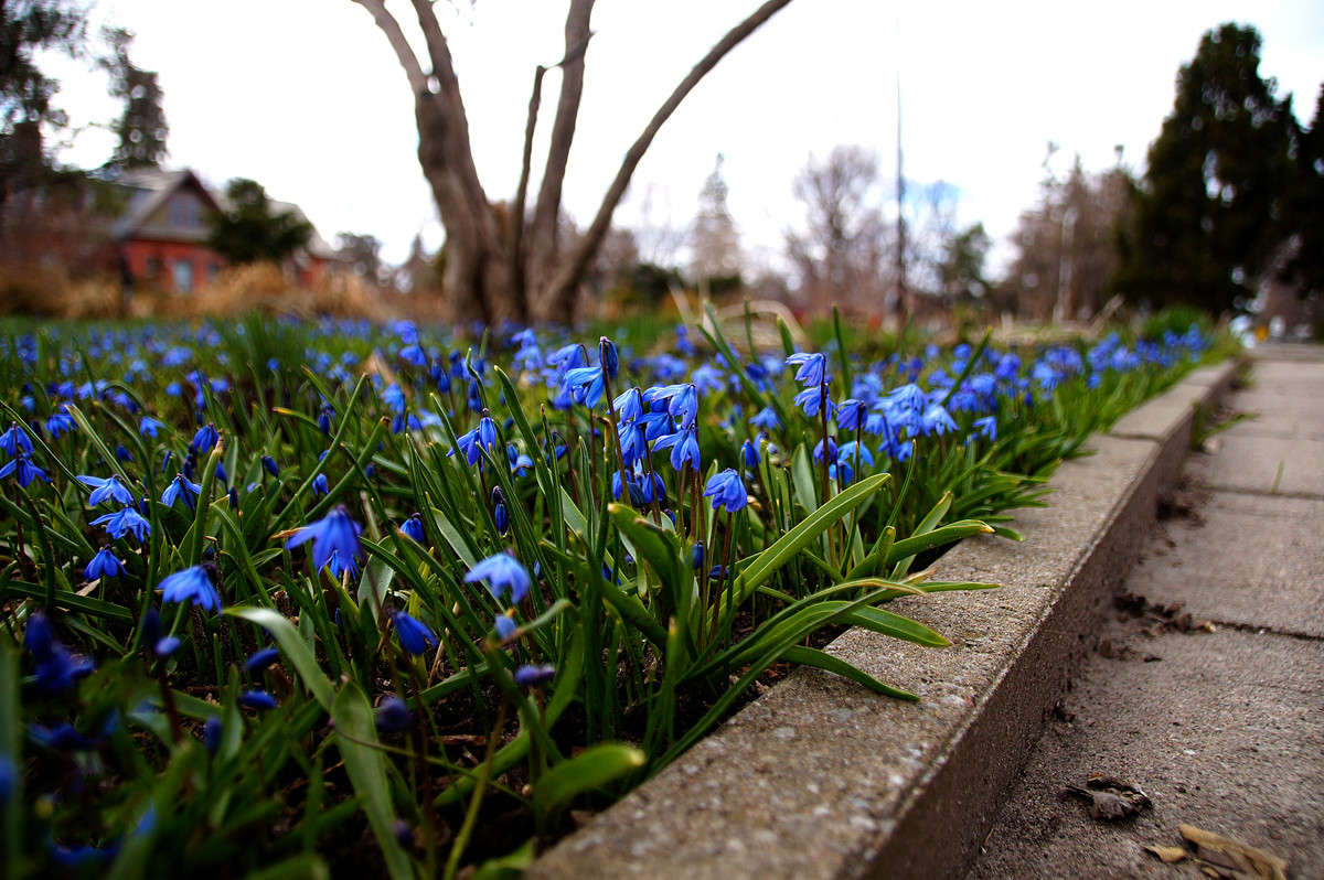 ����� ���� ����� �������  �� PhotoGeek.ru #�����