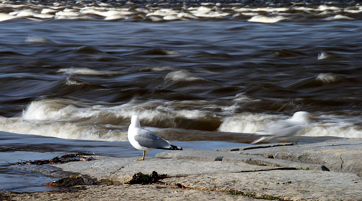 ���������� ����� �������  �� PhotoGeek.ru #�������� ���