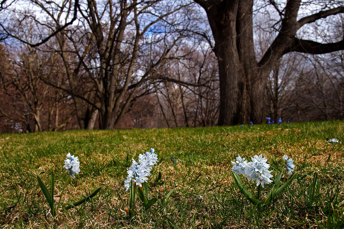 �������� ������� ����� �������  �� PhotoGeek.ru #������ ��� �������