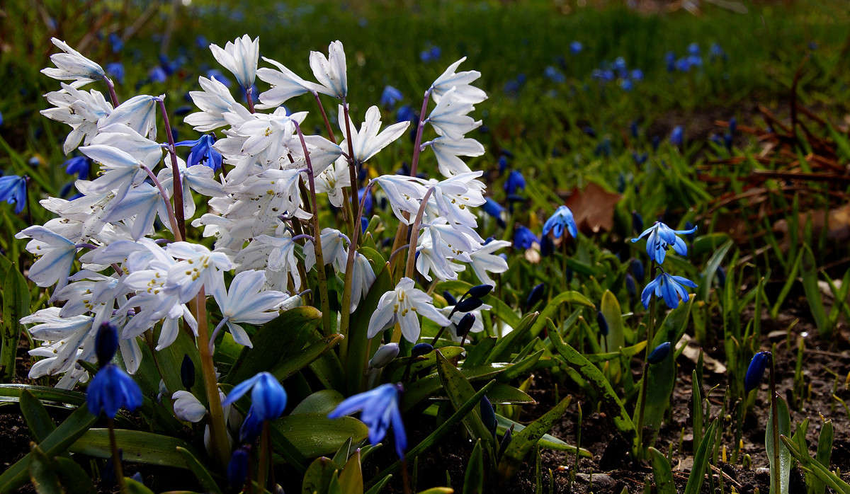 ��������� ����� �������  �� PhotoGeek.ru #������ ��� �������