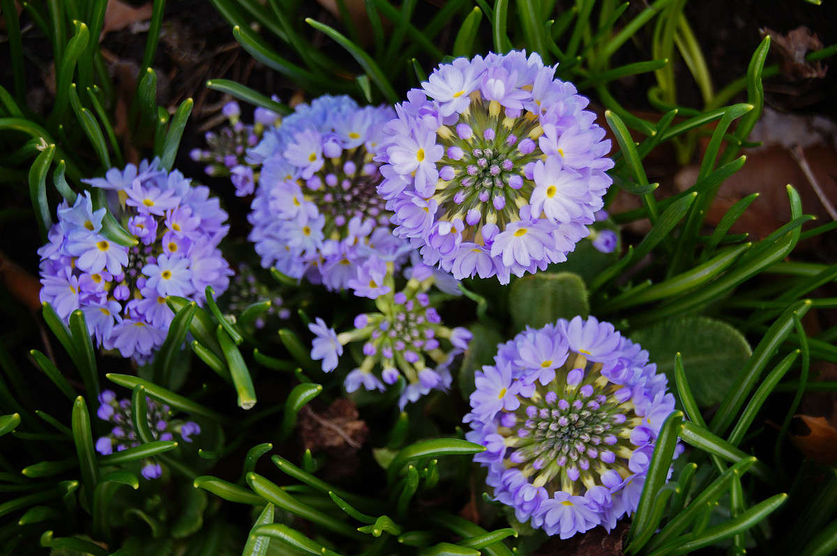 ����� �� ����� ����� �������  �� PhotoGeek.ru #������ ��� �������