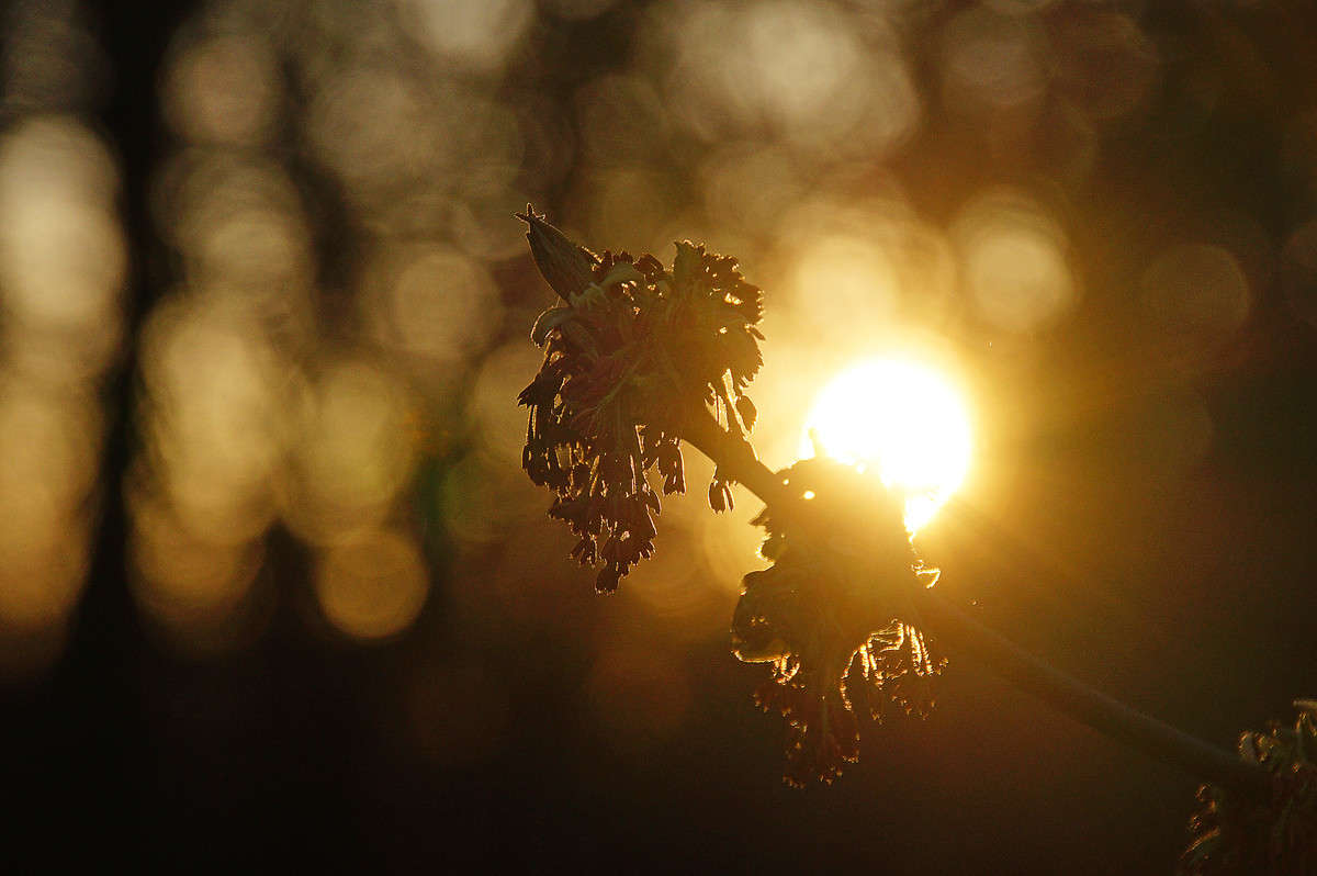 ������ ����� �������  �� PhotoGeek.ru #������ ��� �������
