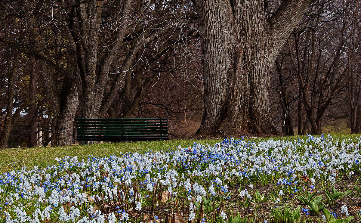 ������� ����� �������  �� PhotoGeek.ru #������ ��� �������