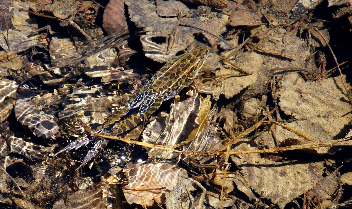 ���� ��� ������������ ������ ����� �������  �� PhotoGeek.ru #�������� ���