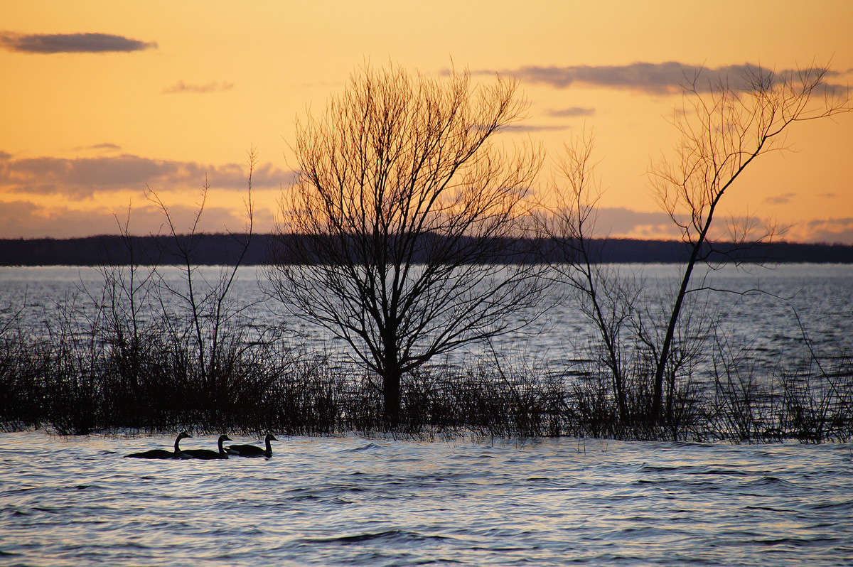 ����� ����� �� ����� ����� �������  �� PhotoGeek.ru #������ ��� �������