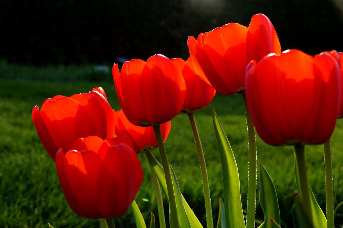 �� ����� ������ � ������ ����� �������  �� PhotoGeek.ru #������ ��� �������