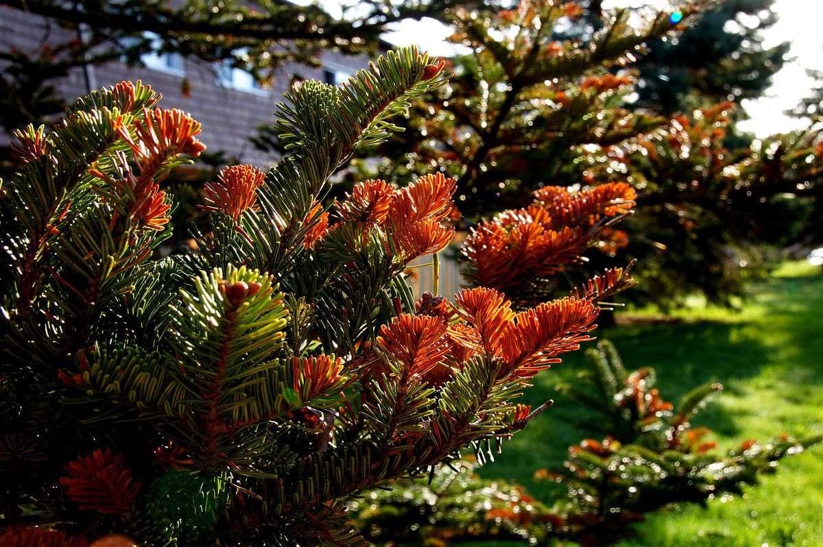 ��� �� �� ��� ����� �������  �� PhotoGeek.ru #������ ��� �������