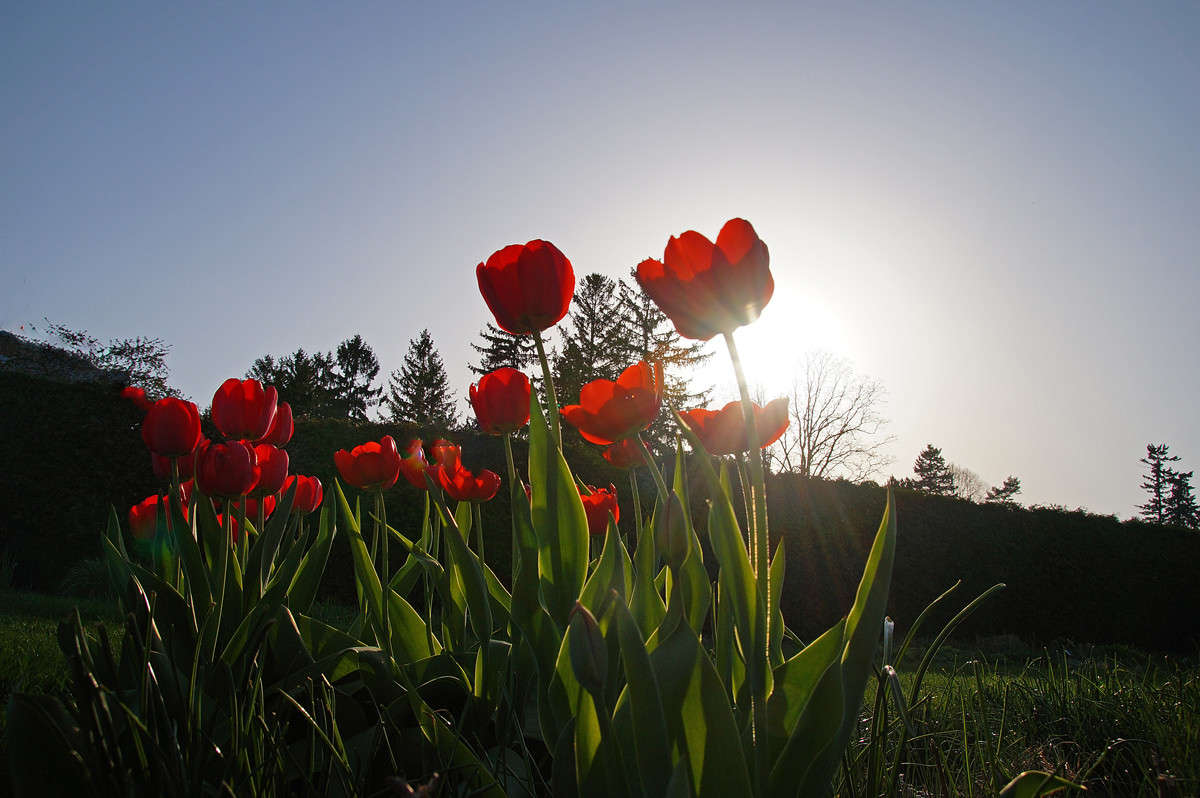 ������ ������ ����� �������  �� PhotoGeek.ru #������ ��� �������