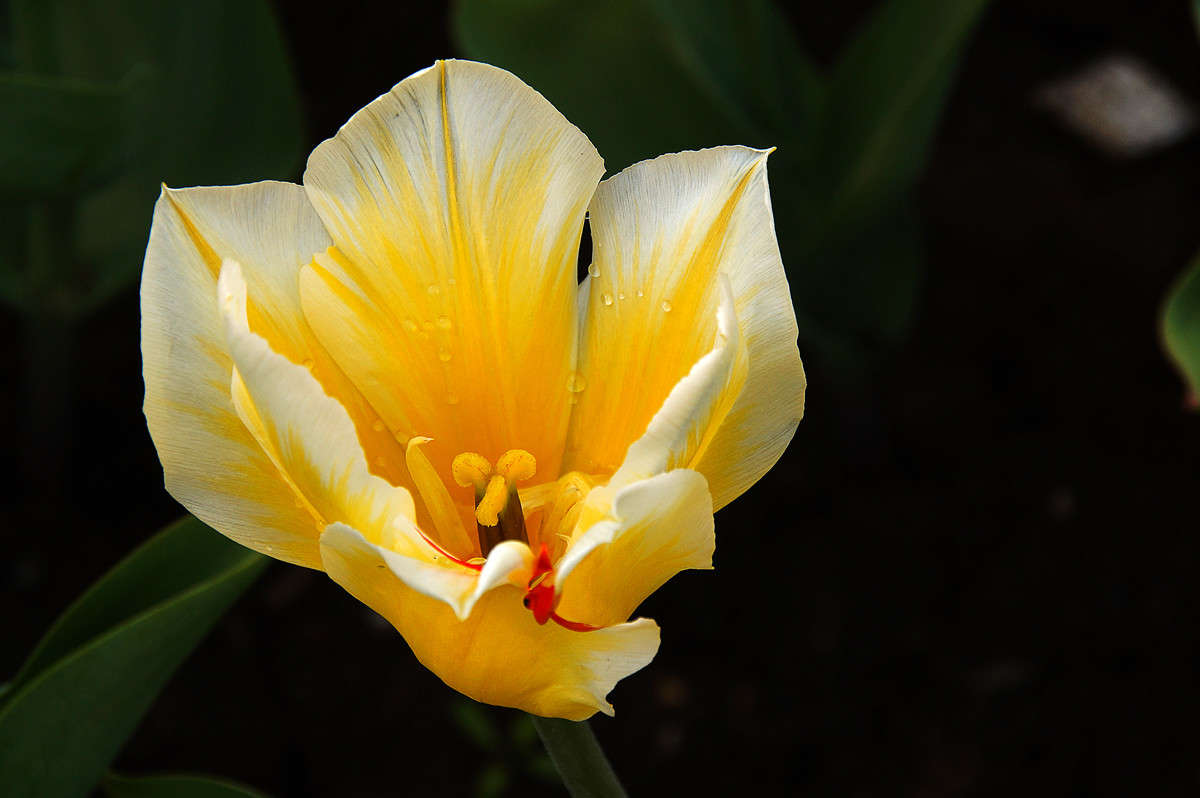 ������� ���� ����� �������  �� PhotoGeek.ru #������ ��� �������