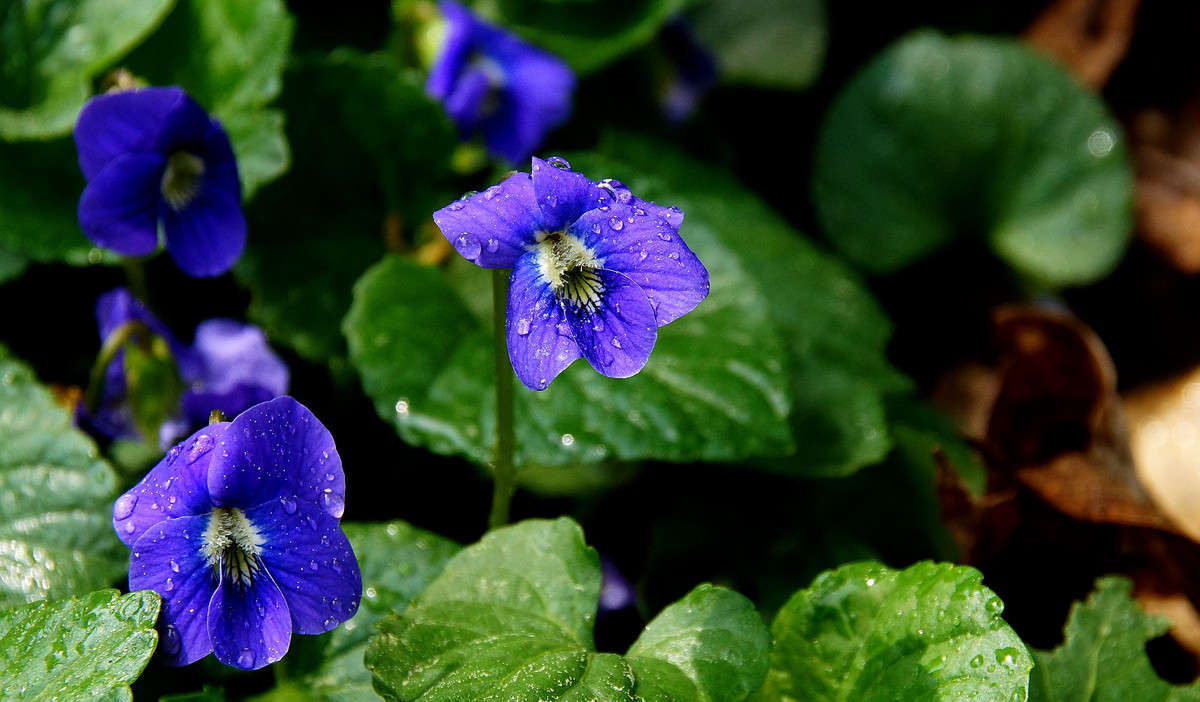����������� ������ ����� �������  �� PhotoGeek.ru #������ ��� �������