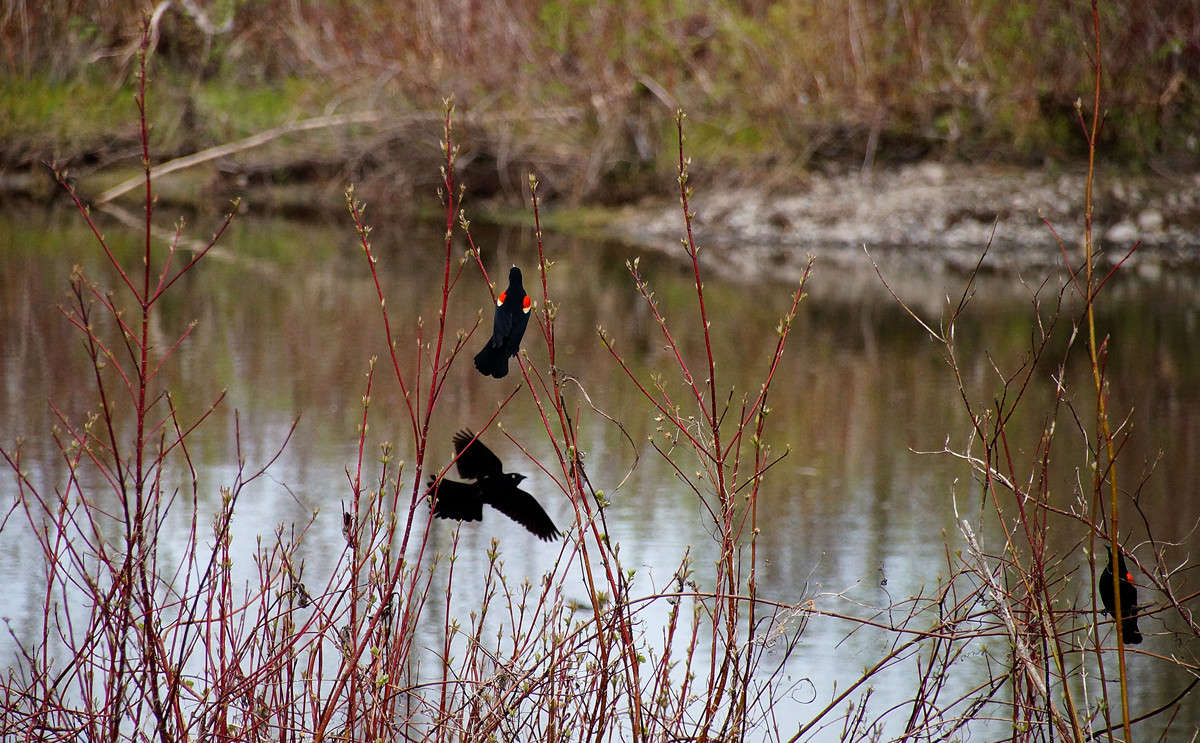 ���� � ����� � ���� ����� �������  �� PhotoGeek.ru #�������� ���