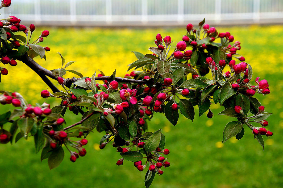 ������� ���� ����� �������  �� PhotoGeek.ru #�����