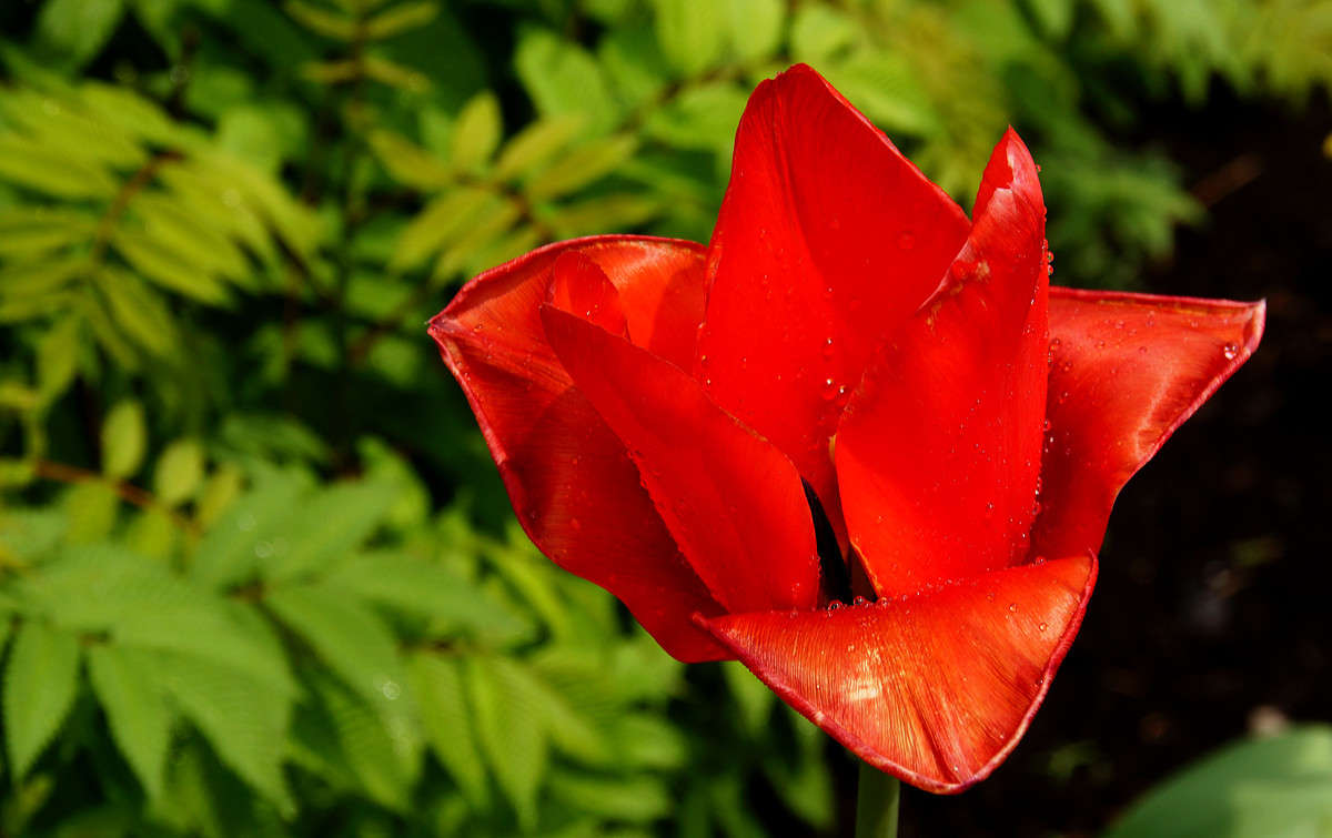 �������� ��������� ����� �������  �� PhotoGeek.ru #������ ��� �������