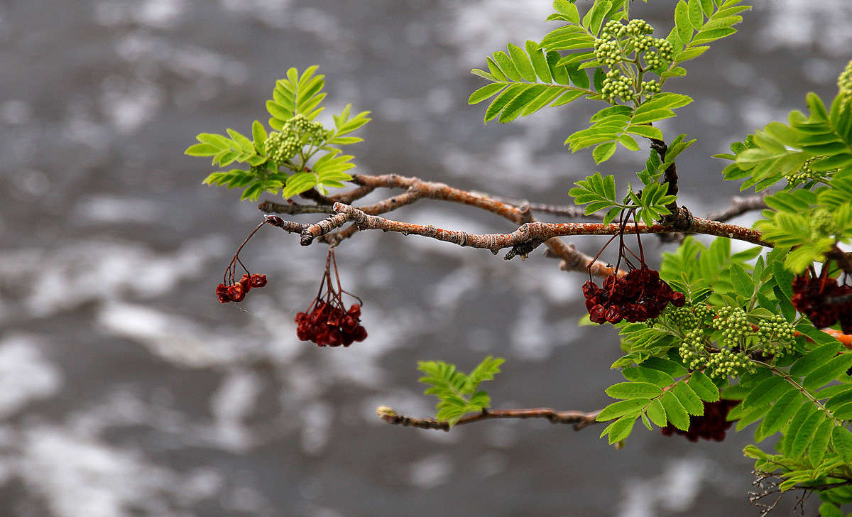 ��� ���������� ����� �������  �� PhotoGeek.ru #������ ��� �������