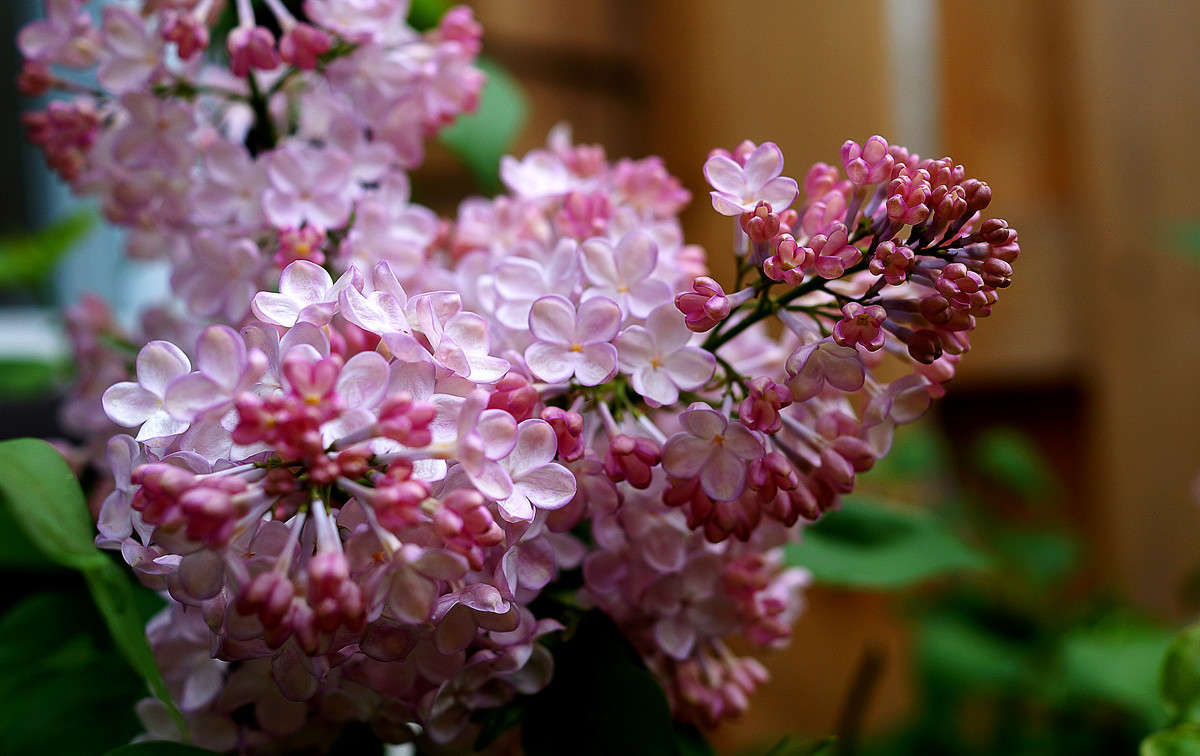 �������� ������ ����� �������  �� PhotoGeek.ru #������ ��� �������