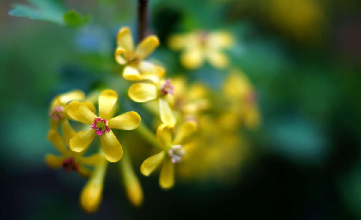 ��������� ����� �������  �� PhotoGeek.ru #������ ��� �������