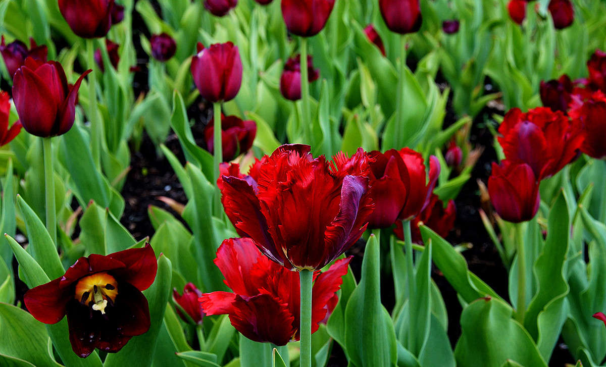 ����� ��� ������ ������ ����� �������  �� PhotoGeek.ru #������ ��� �������