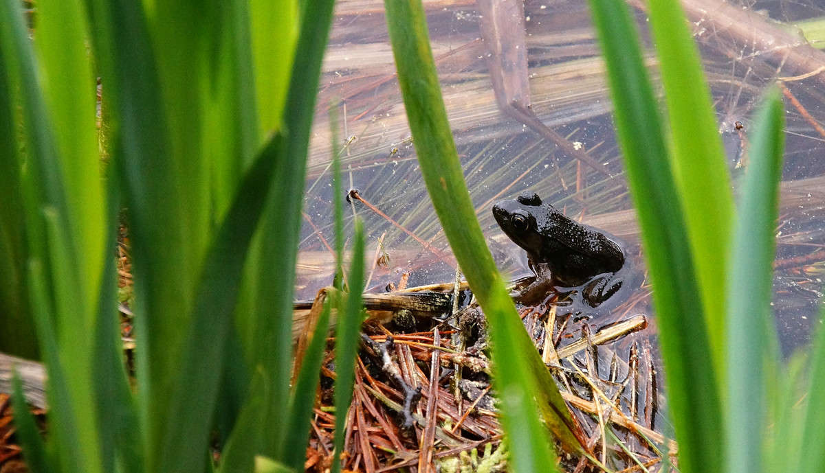 ������ �� ��������� ����� �������  �� PhotoGeek.ru #�������� ���