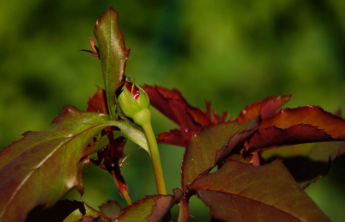 ������������� ����� �������  �� PhotoGeek.ru #������ ��� �������