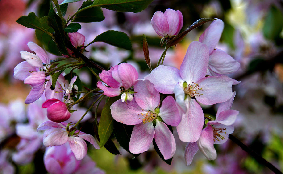 � ������� ��������� ����� �������  �� PhotoGeek.ru #������ ��� �������
