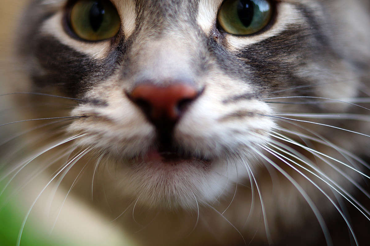 � ����� ������ ����� �������  �� PhotoGeek.ru #�������� ���