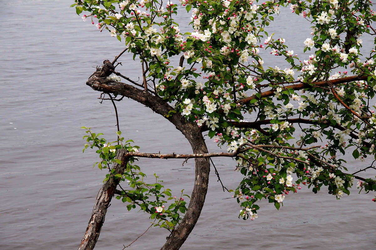 ���� �� ���� ����� �������  �� PhotoGeek.ru #������ ��� �������