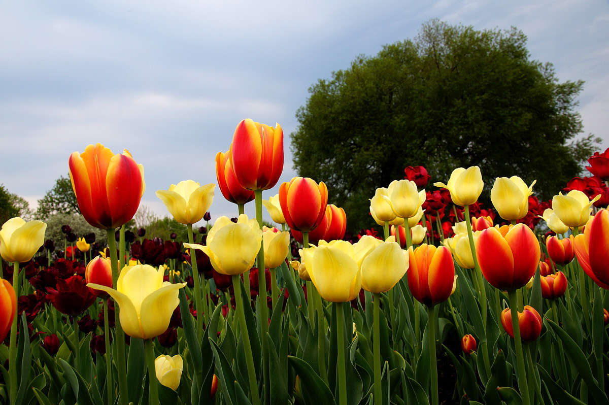 ������ ��������� ��������� ����� �������  �� PhotoGeek.ru #�����