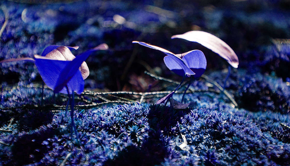 ���� ���� ���� ����� �������  �� PhotoGeek.ru #������ ��� �������