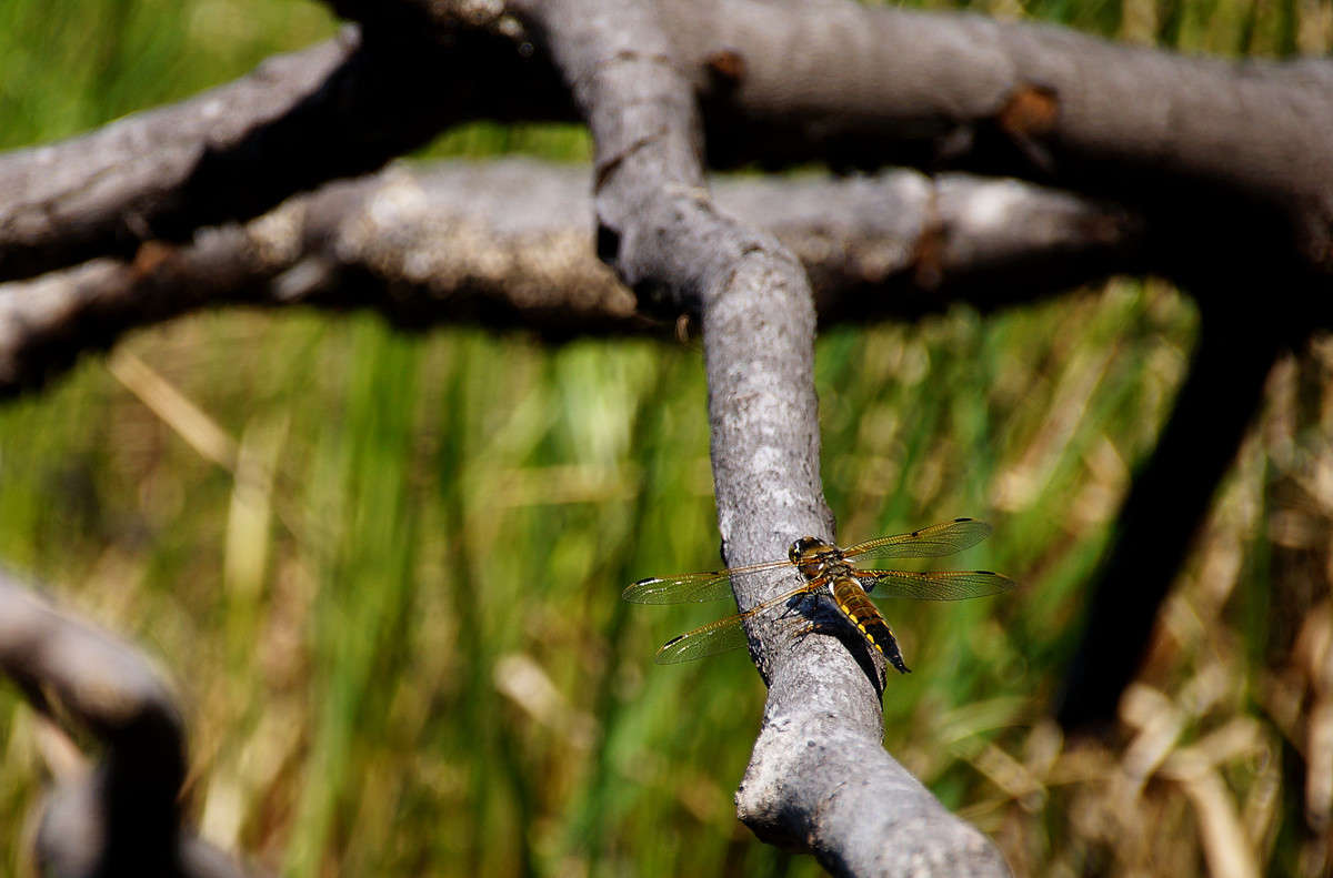 ����������� ����� �������  �� PhotoGeek.ru #�������� ���