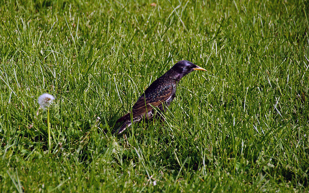 ������� �������� ���� ����� �������  �� PhotoGeek.ru #�������� ���