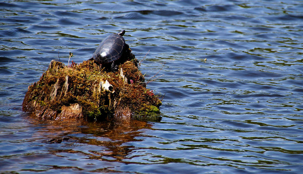 �� ����������� ������� ����� �������  �� PhotoGeek.ru #�������� ���