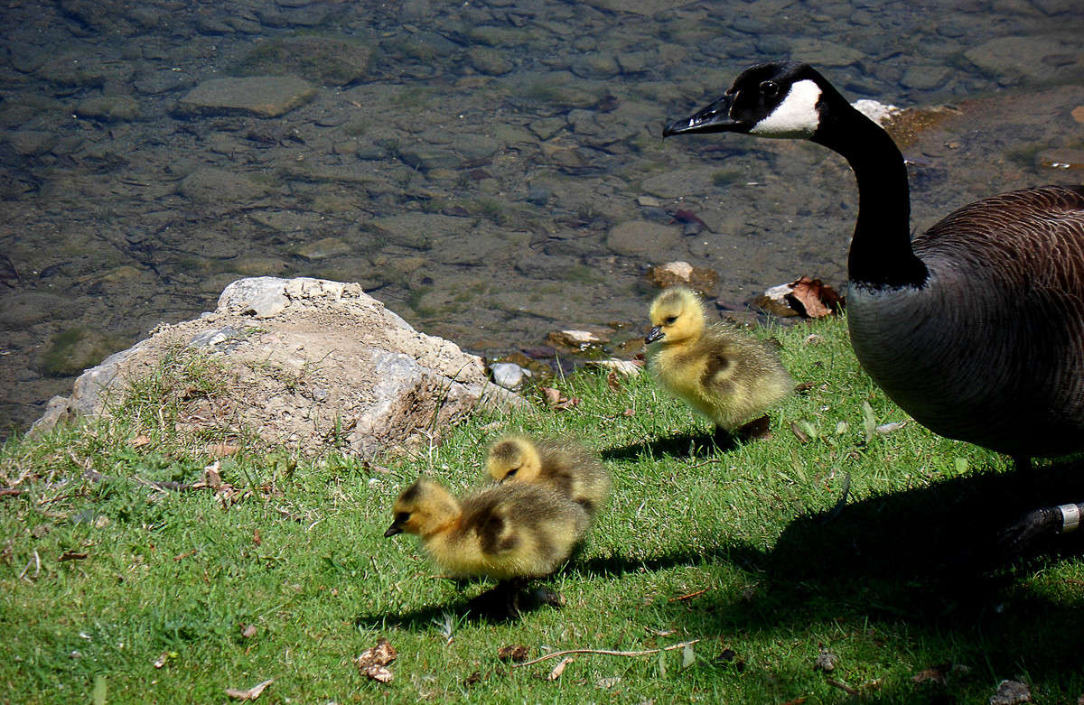 ��������� ����� �������  �� PhotoGeek.ru #�������� ���