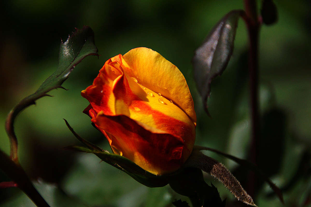 ����� ����� �������  �� PhotoGeek.ru #������ ��� �������