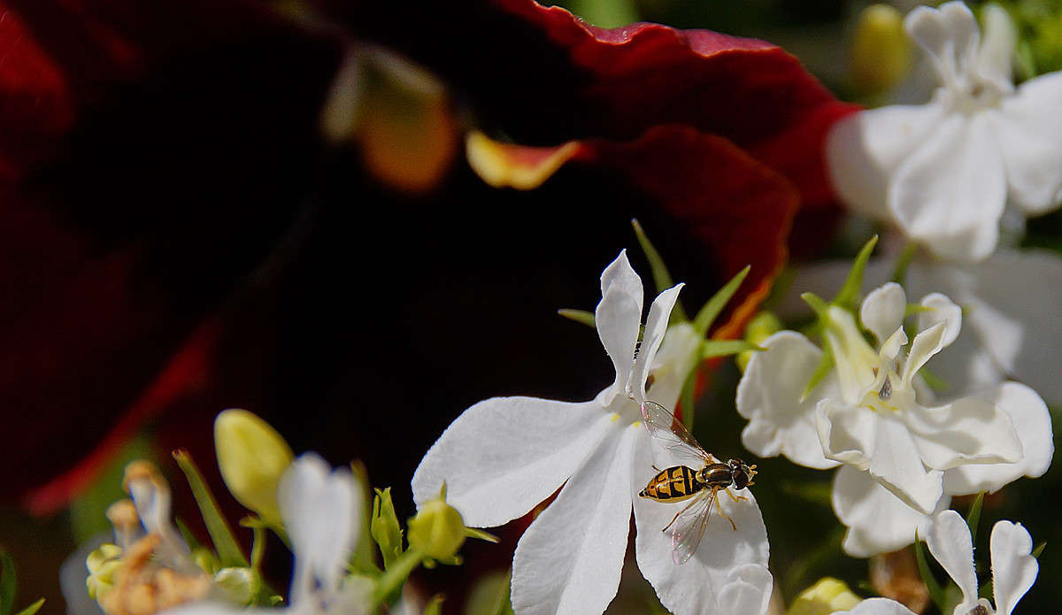 �� �� ��������� ����� �������  �� PhotoGeek.ru #������ ��� �������