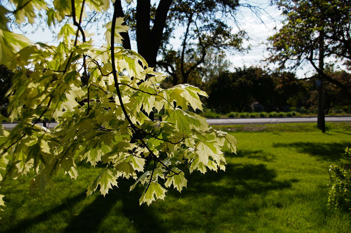 ��������� ����� �������  �� PhotoGeek.ru #������ ��� �������