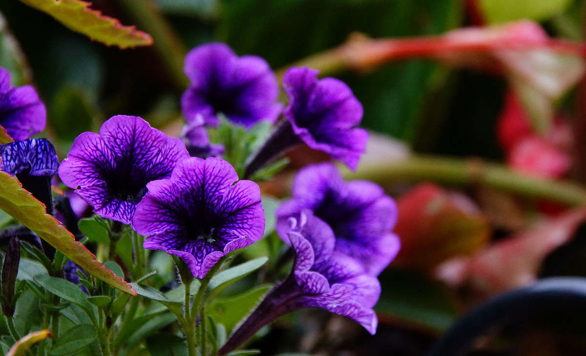 ��������� ����� �������  �� PhotoGeek.ru #�����