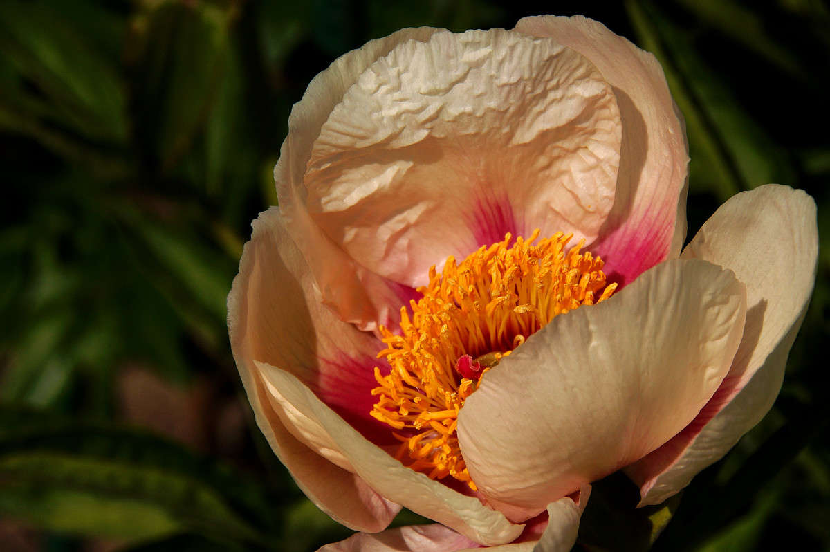 ������������ ����� �������  �� PhotoGeek.ru #������ ��� �������