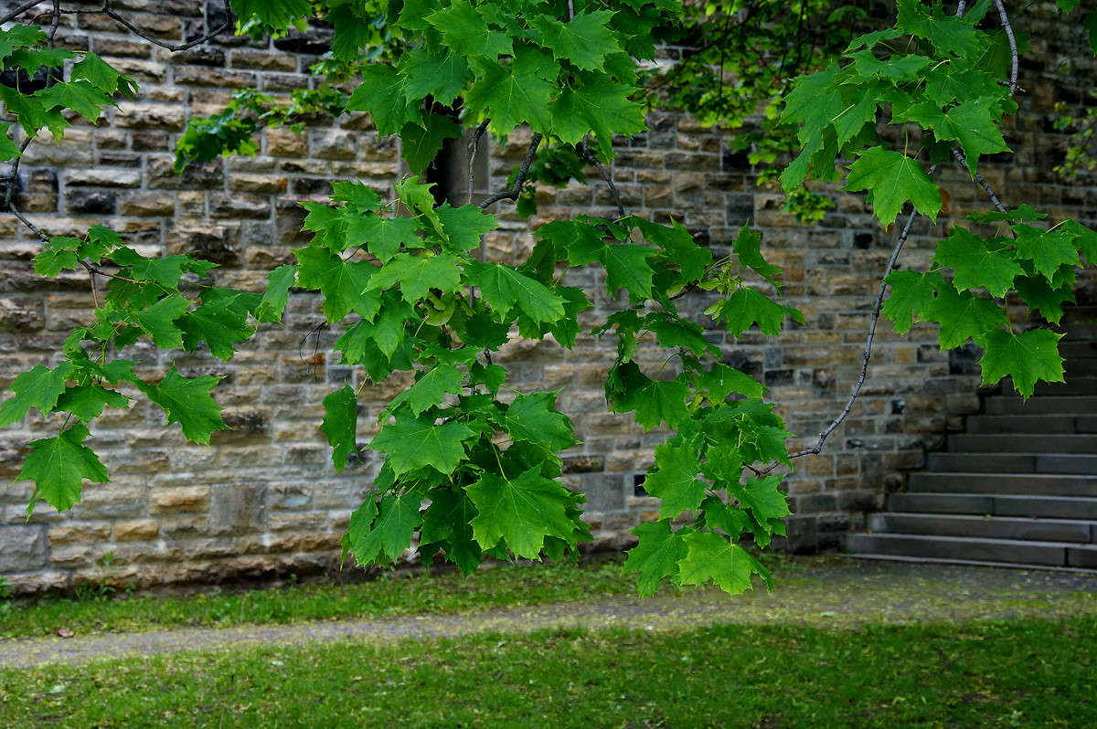 ����� ��� ����� �������  �� PhotoGeek.ru #�����