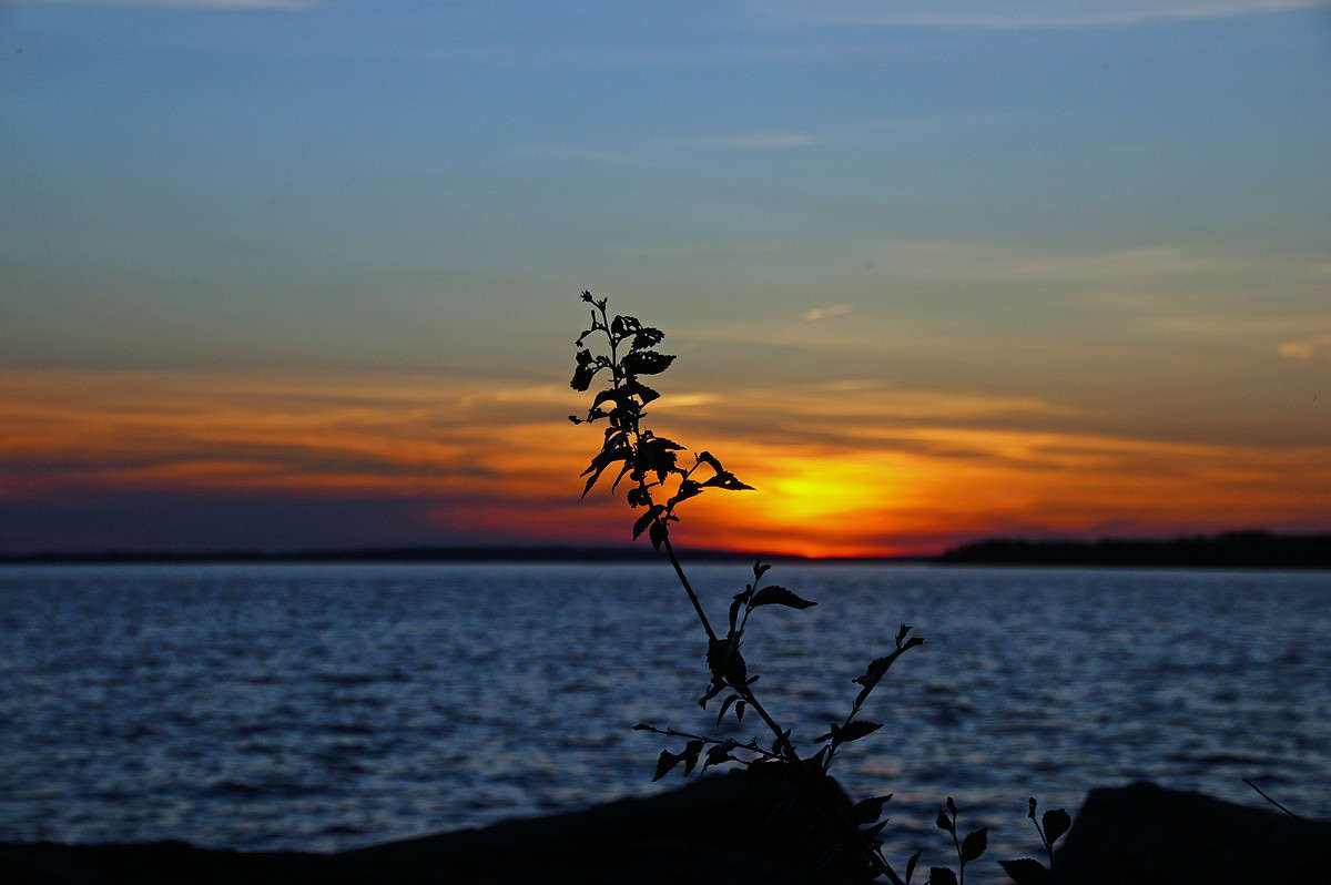 ��������� ����� �������  �� PhotoGeek.ru #������ ��� �������