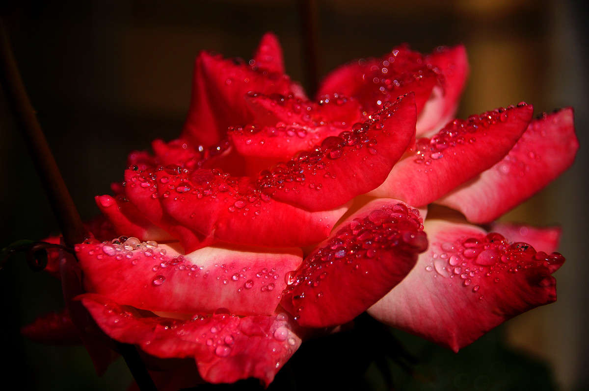 ������ �������� ����� �������  �� PhotoGeek.ru #������ ��� �������