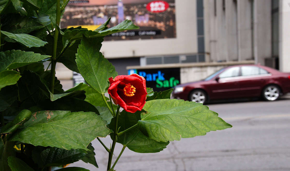 ������ ������ ��������� ����� �������  �� PhotoGeek.ru #�����