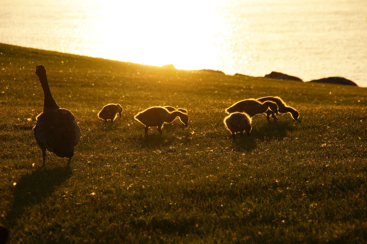 �������� ����� ����� �������  �� PhotoGeek.ru #�������� ���