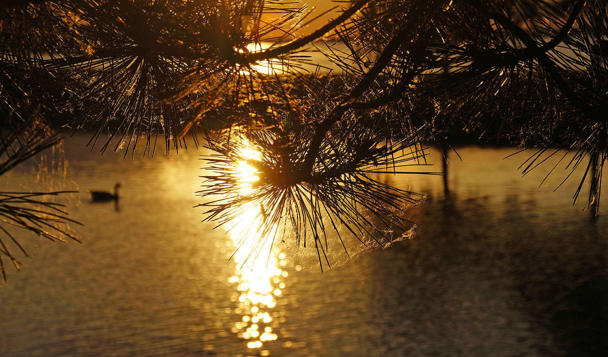 ��� ��� ����� ������� ����� �������  �� PhotoGeek.ru #������ ��� �������