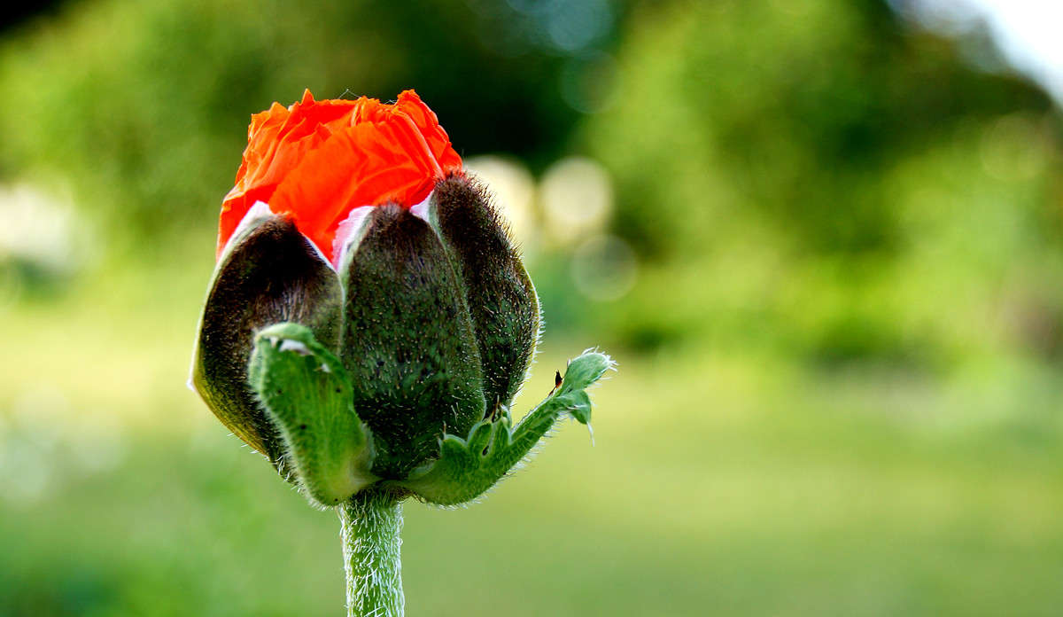 ������ ������ ����� �������  �� PhotoGeek.ru #������ ��� �������