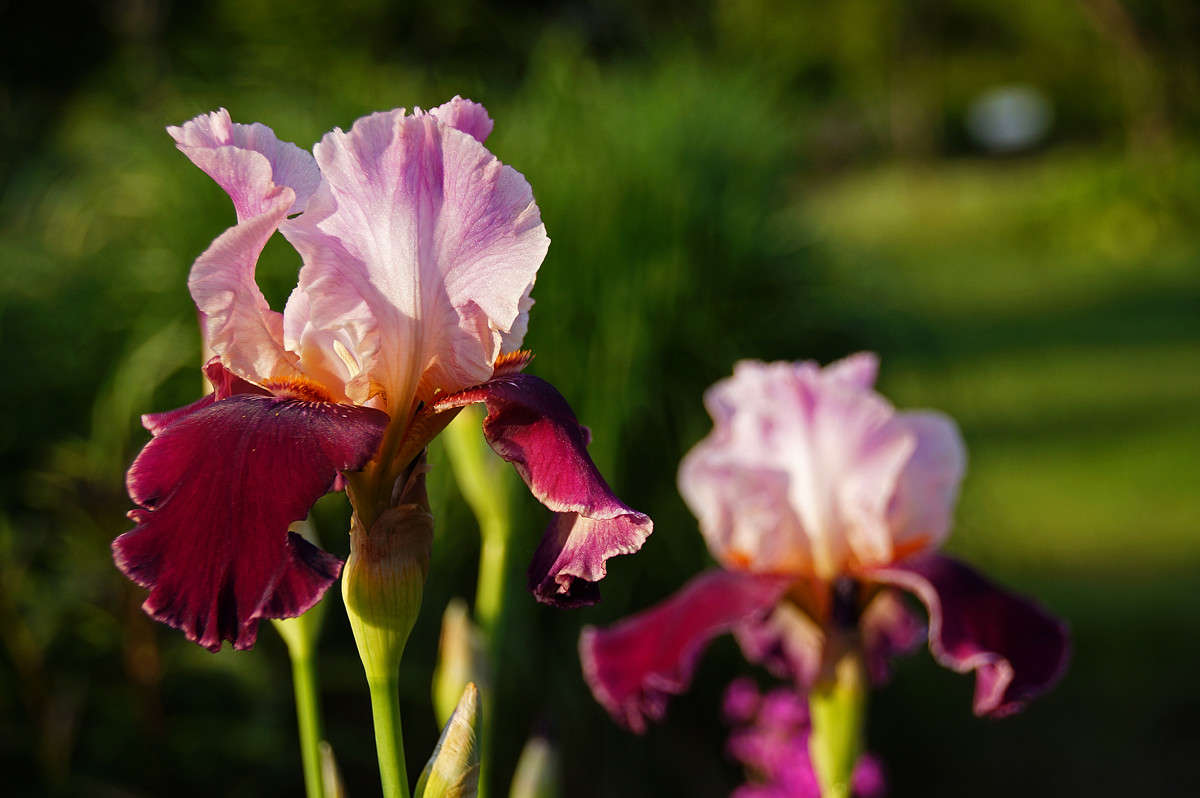 �������� ������� ����� �������  �� PhotoGeek.ru #������ ��� �������