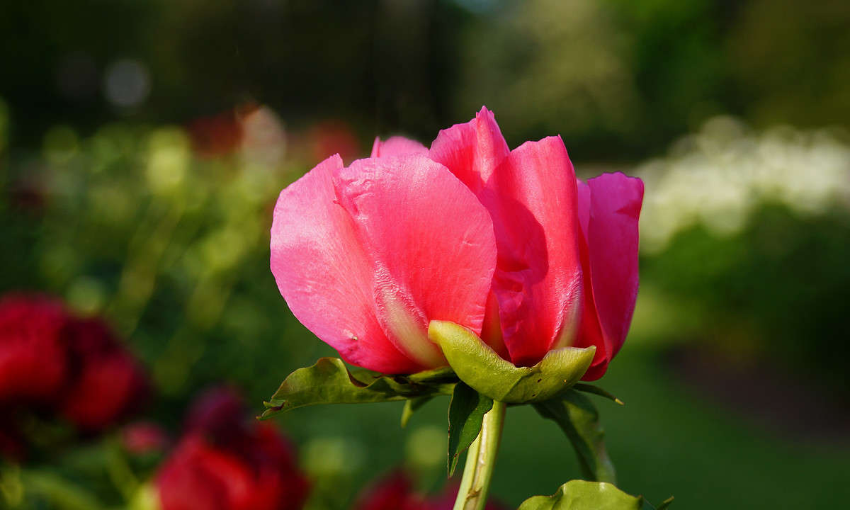 ������ �� � �� �������������? ����� �������  �� PhotoGeek.ru #������ ��� �������