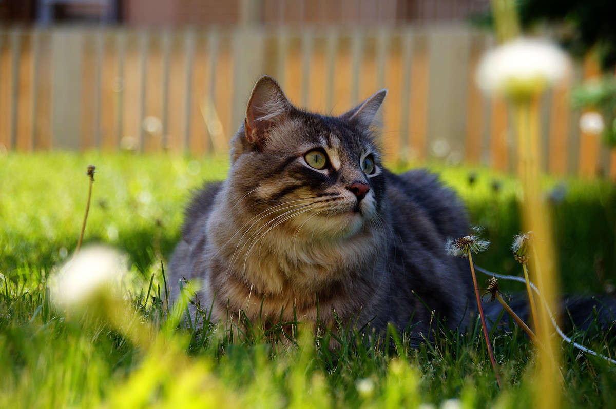 ��� ������� ���������� ����� �������  �� PhotoGeek.ru #�������� ���