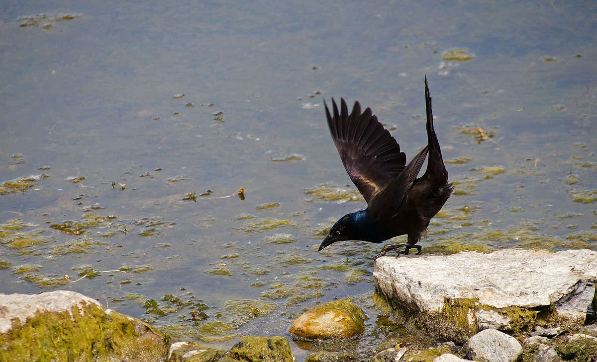 ��������� ���� ����� �������  �� PhotoGeek.ru #�������� ���